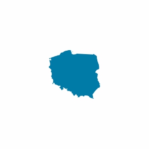 Polonya Vizesi